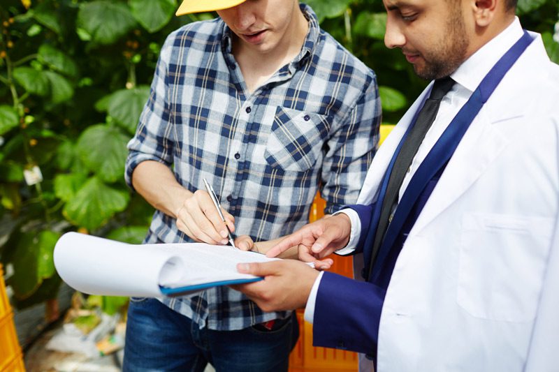حسابرسی میدانی