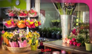 نرم افزار حسابداری معین