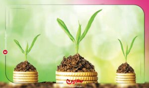 نرم افزار حسابداری معین