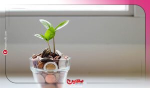 نرم افزار حسابداری معین