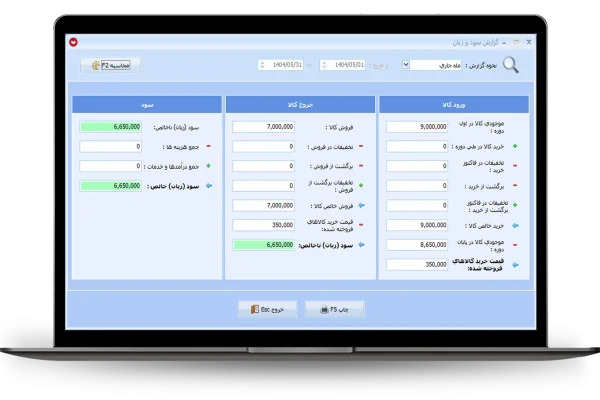 گزارش سود و زیان