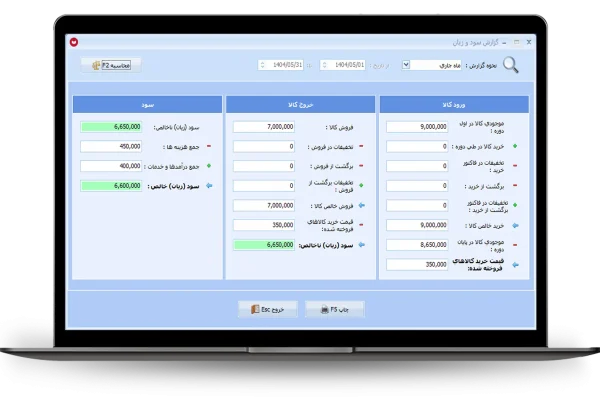 گزارش سود و زیان