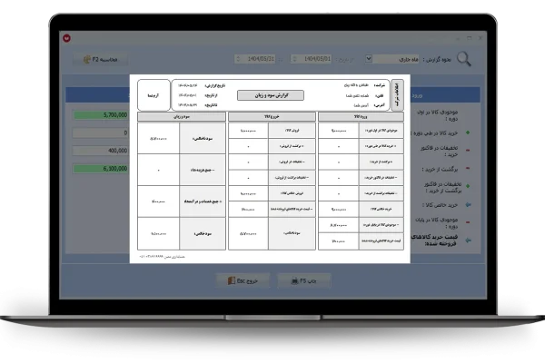 چاپ گزارش سود و زیان